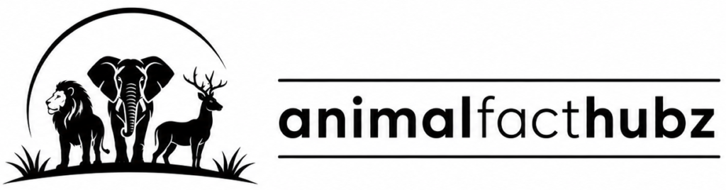animal fact hubz