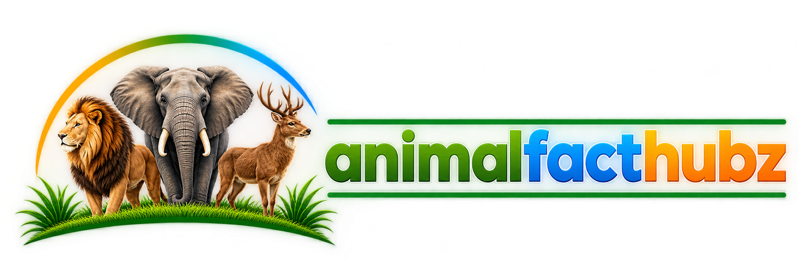 animal fact hubz