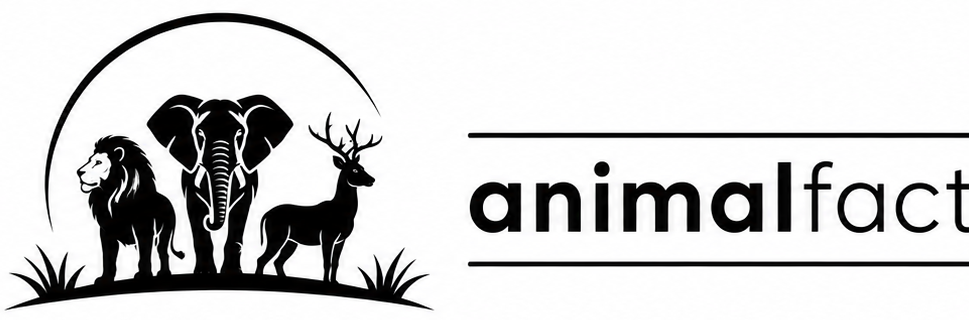 animal fact hubz